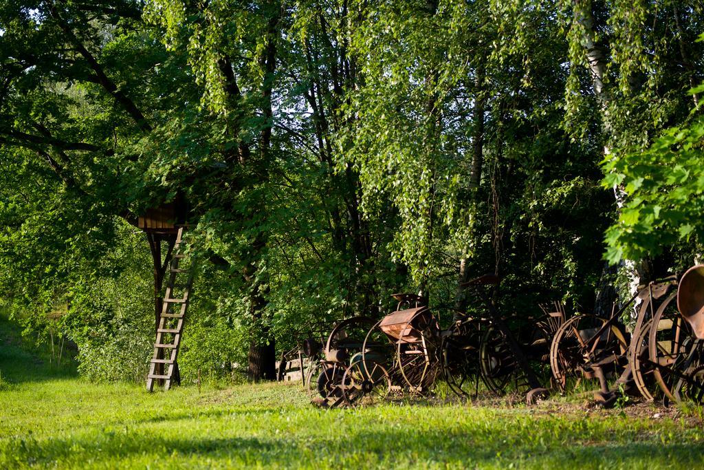 Vila Siedlisko Grabinowo K/Olsztyna Exteriér fotografie